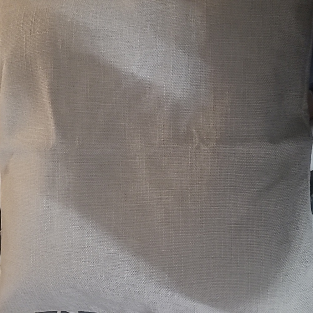 New light gray accent pillow cover.